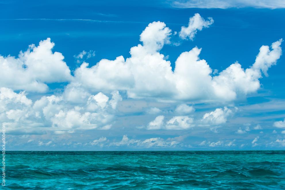 The ZK Compliance Wave