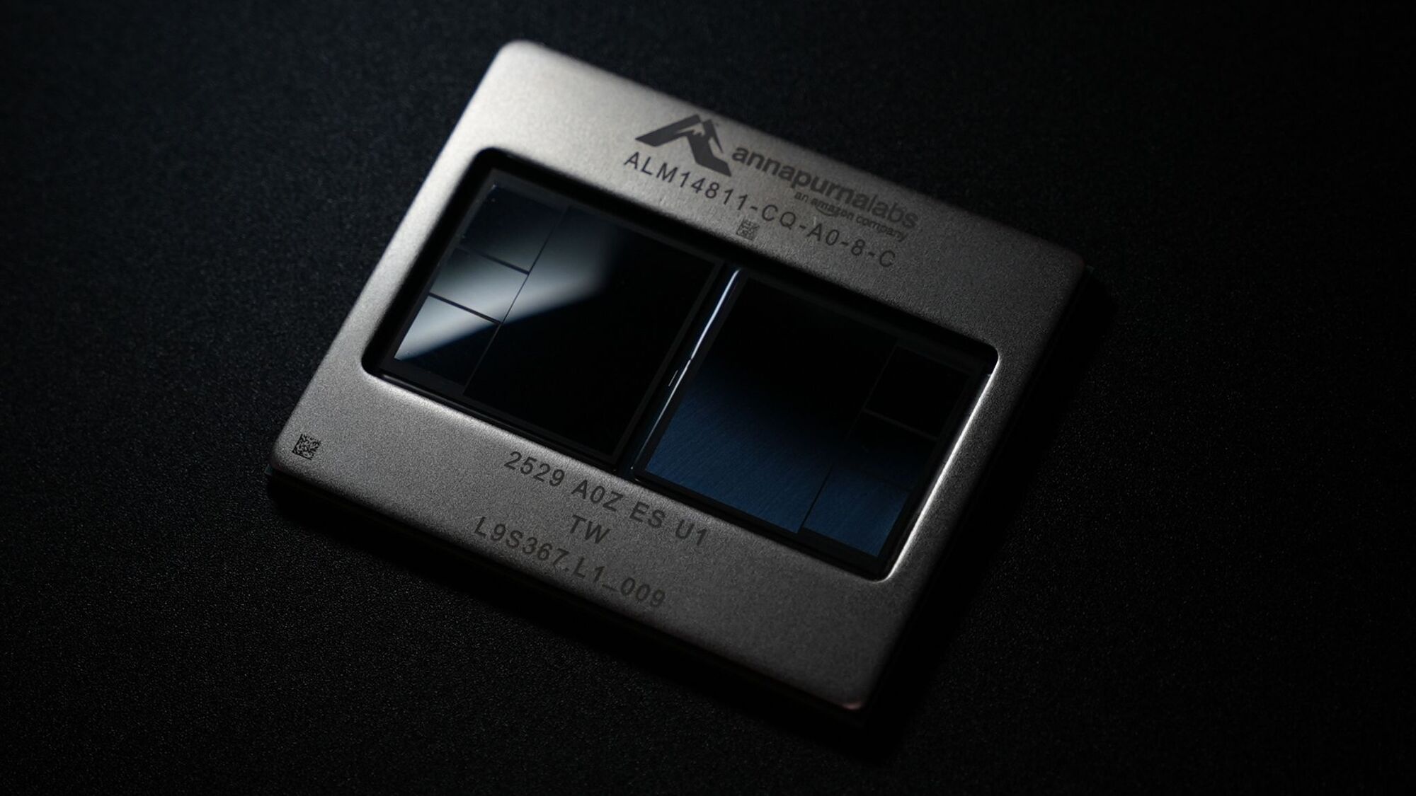 ASIC for High-Throughput Verification