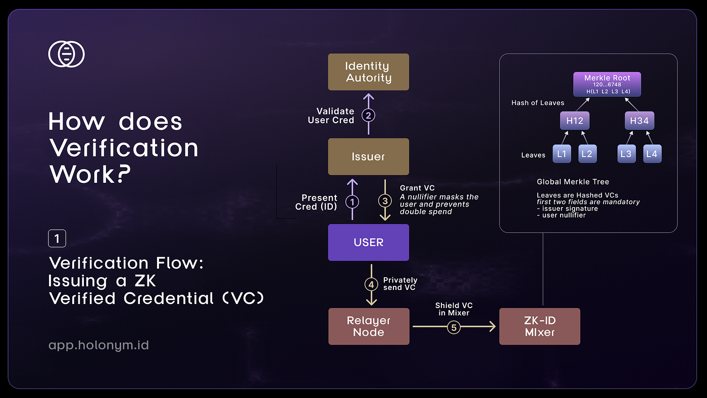 Ethereum ZK verification flowchart